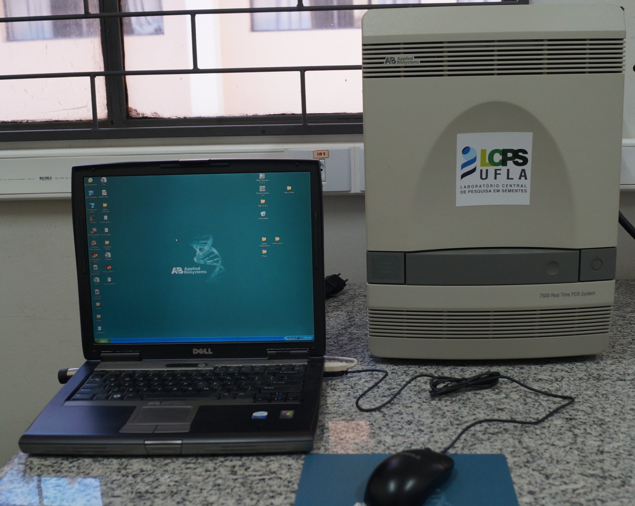 Imagem 15 PCR em Tempo Real 7500..jpg